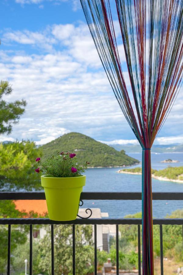 Vila Roza Prožura Kültér fotó