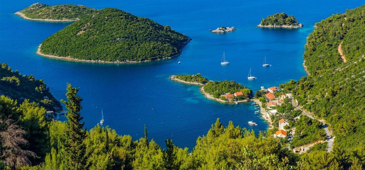 Vila Roza Prožura Kültér fotó